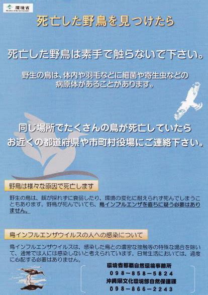 鳥死亡|富山県／死亡した野鳥を見つけたら注意しましょう